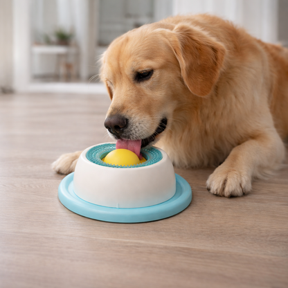 Lick-N-Roll™ | 360° Rotating Roller Ball Slow Feeder